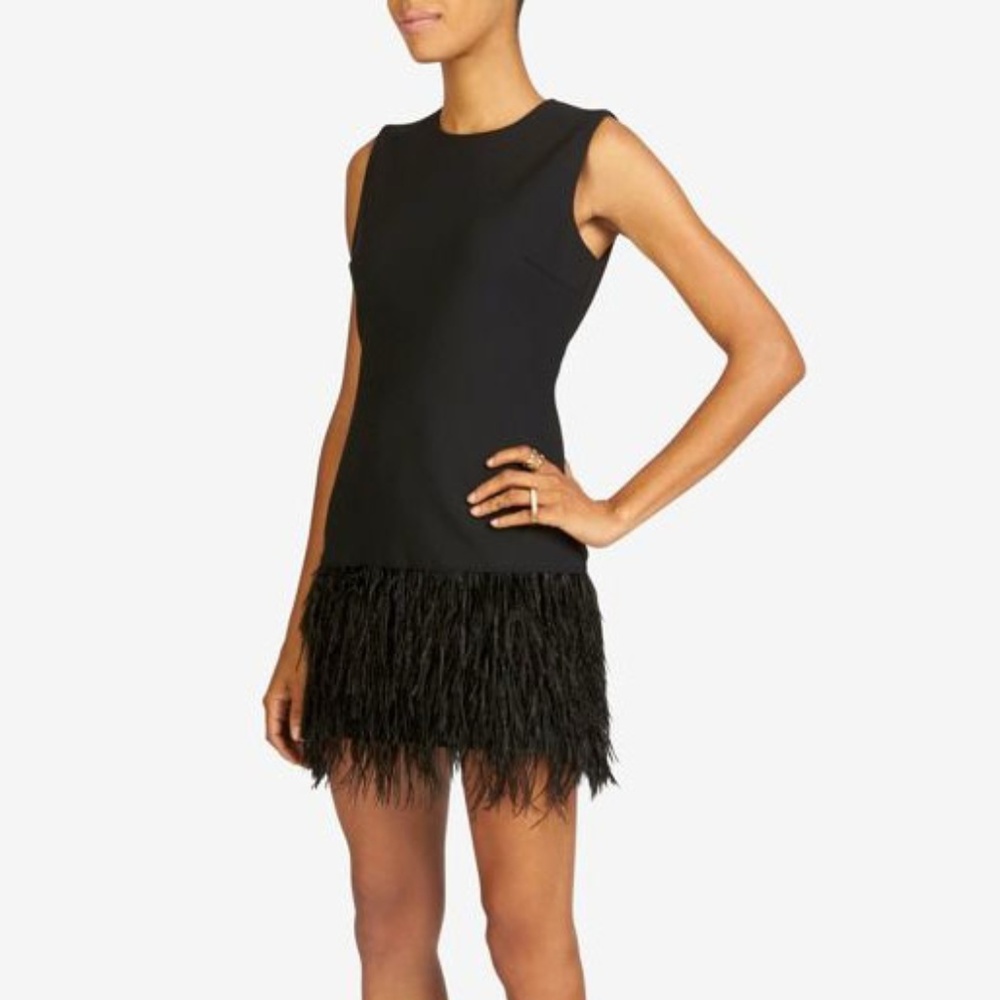 Elizabeth and James India ostrich feather dress
